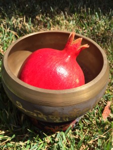 fruit.singing.bowl.9.5.2015