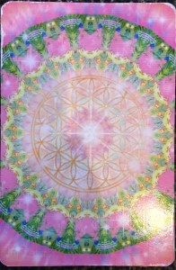 mandala.oracle