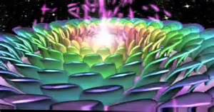 thousand-petal-lotus