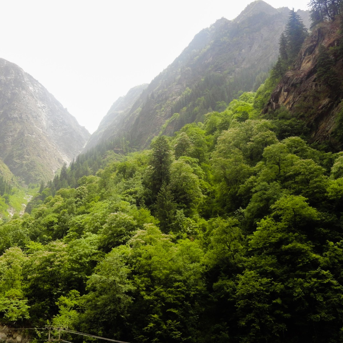 Be Dark, Soft&nbsp;Earth